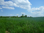 2012-05-23_15-03-42_P1070323.jpg