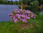 2012-05-24_21-33-20_P1070405.jpg