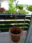 2012-05-26_15-36-08_P1070441.jpg
