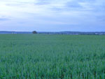 2012-05-26_21-16-07_file000054.jpg