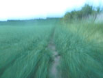 2012-05-26_21-17-35_file000102.jpg