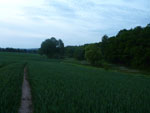 2012-05-26_21-19-55_file000134.jpg