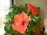 2012-05-27_17-56-54_P1070572.jpg
