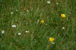 2012-05-27_18-03-00_DSC_5648.jpg