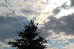 2012-05-27_18-03-09_DSC_5649.jpg