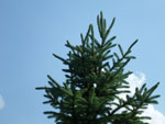 2012-05-28_17-46-27_P1070606.jpg