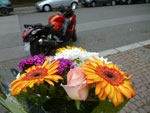 Photos