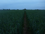 2012-06-07_21-14-59_P1070795.jpg