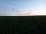 2012-06-08_21-31-56_P1070818.jpg