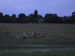 2012-06-10_21-39-27_P1070838.jpg