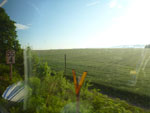 2012-06-12_06-37-51_P1070851.jpg