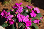 2012-06-17_17-52-14_DSC_5734.jpg
