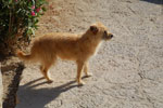 2012-06-17_18-34-23_DSC_5938.jpg