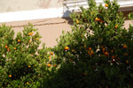 2012-06-17_19-15-05_DSC_6031.jpg
