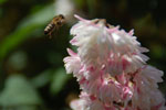 2012-06-24_11-45-58_DSC_6064.jpg