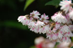 2012-06-24_11-46-54_DSC_6067.jpg