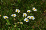 2012-06-24_11-47-06_DSC_6068.jpg