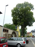 2012-06-24_18-26-33_P1090089.jpg