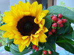 2012-06-26_15-34-00_P1090145.jpg