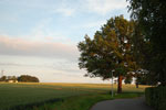 2012-06-26_20-59-54_DSC_6076.jpg