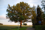 2012-06-26_21-00-39_DSC_6081.jpg