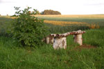 2012-06-26_21-01-02_DSC_6083.jpg