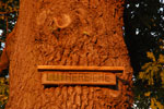 2012-06-26_21-01-11_DSC_6084.jpg