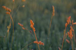 2012-06-26_21-01-52_DSC_6087.jpg