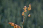 2012-06-26_21-02-16_DSC_6091.jpg