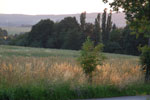2012-06-26_21-04-34_DSC_6103.jpg