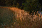 2012-06-26_21-05-12_DSC_6108.jpg