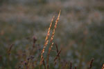 2012-06-26_21-06-22_DSC_6111.jpg