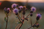 2012-06-26_21-06-46_DSC_6112.jpg