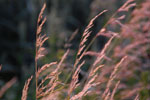 2012-06-26_21-13-49_DSC_6147.jpg