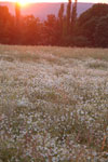 2012-06-26_21-16-49_DSC_6159.jpg