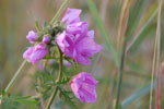 2012-06-26_21-17-11_DSC_6160.jpg