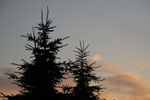 2012-06-26_21-24-12_DSC_6180.jpg