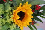 2012-06-27_15-10-42_DSC_6190.jpg