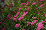 2012-06-28_12-44-42_DSC_6205.jpg