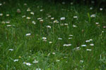2012-06-28_12-45-07_DSC_6206.jpg