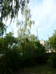 2012-07-10_19-09-46_P1090522.jpg