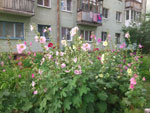2012-07-16_19-15-43_2012-07-16-19.15.43.jpg