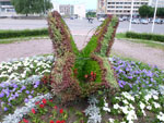Photos