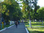 Photos