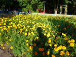 2012-07-29_19-22-18_P1090872.jpg