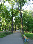 2012-07-29_19-28-16_P1090891.jpg