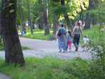 2012-07-29_19-28-49_P1090893.jpg