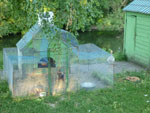 2012-07-29_20-15-59_P1090977.jpg