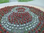 2012-07-29_20-44-53_P1100007.jpg