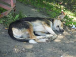 Photos